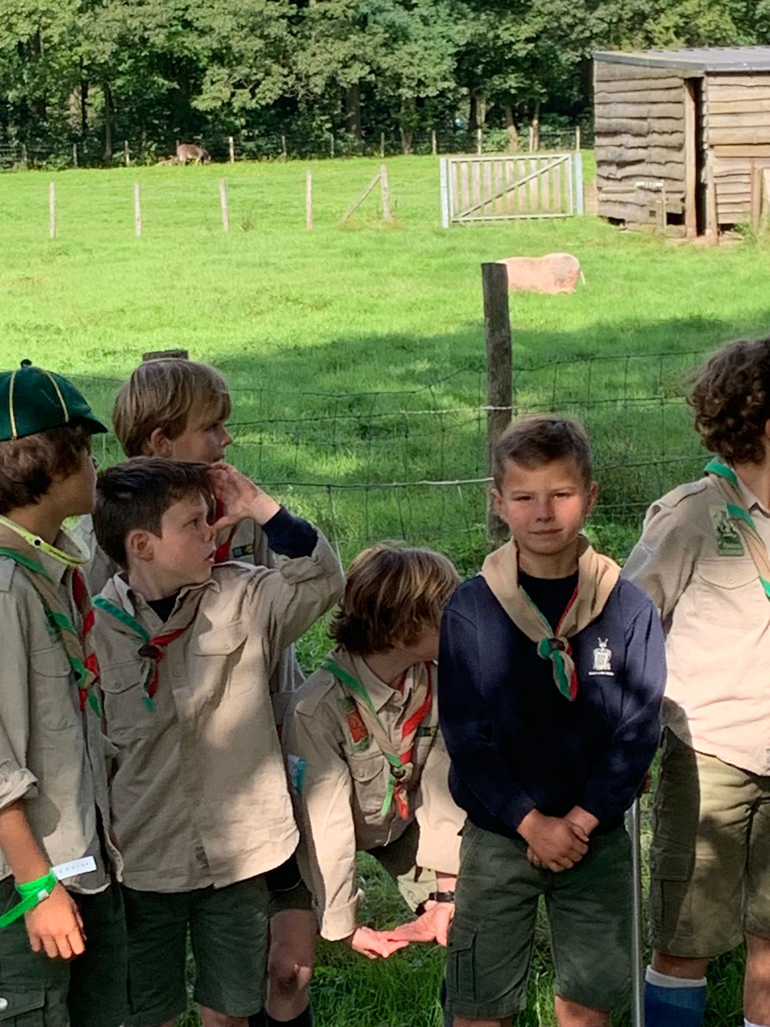 Sint-Martinus den XIIde - Opening 2024